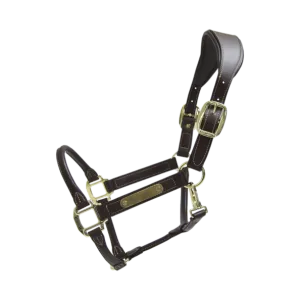 Anatomic Leather Halter - Brown