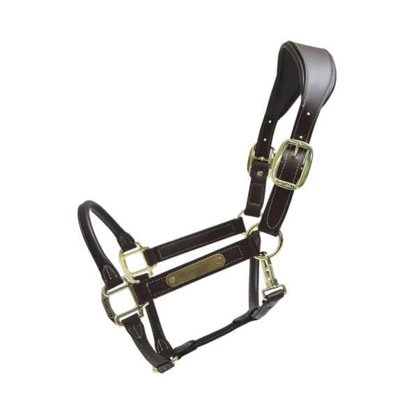 Anatomic Leather Halter - Brown
