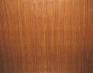 Antique Birch Wood Contact Paper
