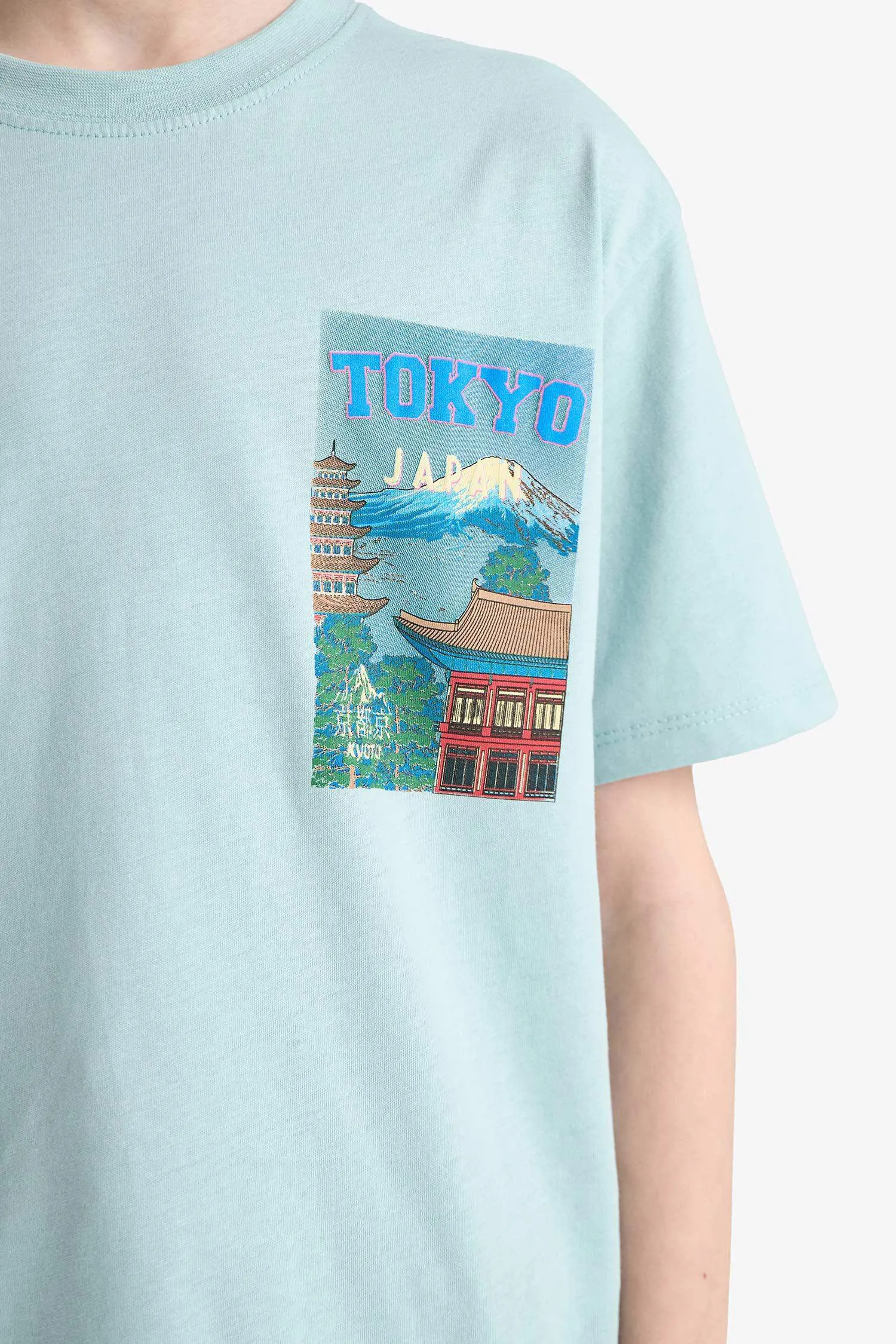 Boy Regular Fit Printed Crew Neck T-Shirt
