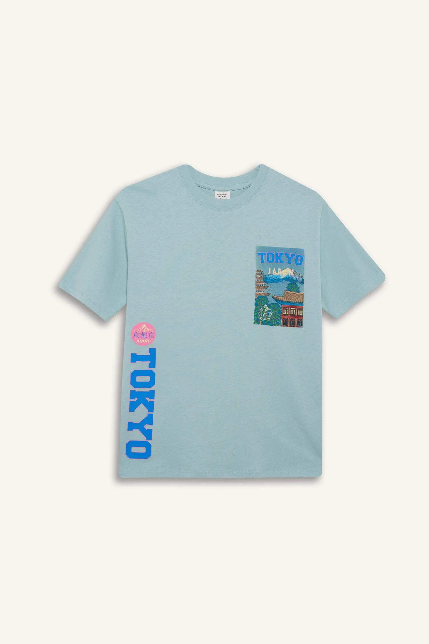Boy Regular Fit Printed Crew Neck T-Shirt