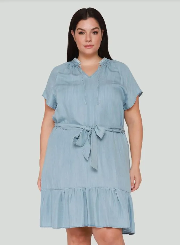 Chambray Dress