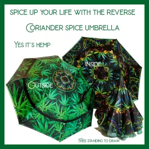 Coriander - Spice Reverse Umbrella