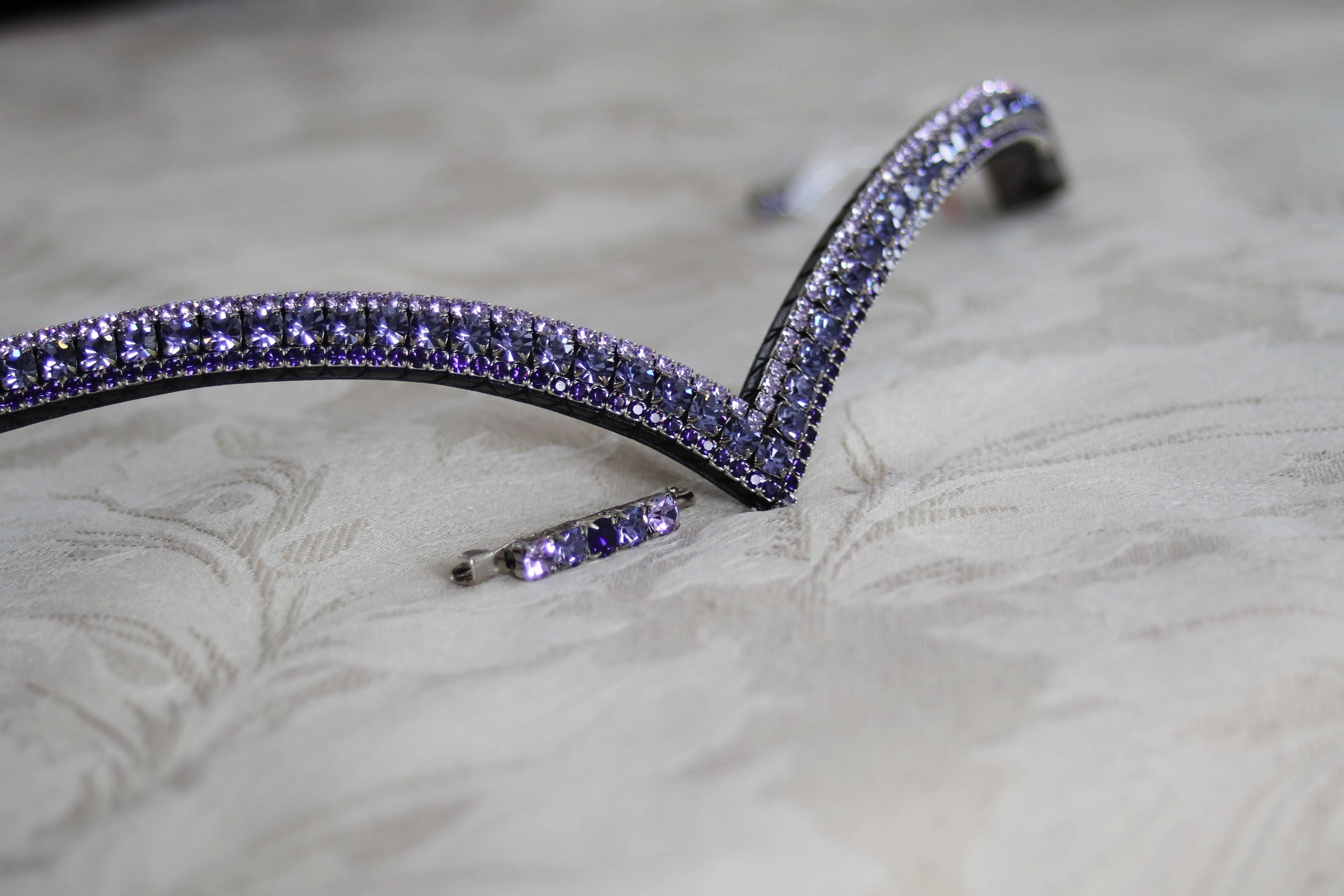 Equiture Custom 3 coloured browband