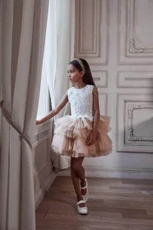 Girls Fancy Tiered Embellished Party Tutu Dress