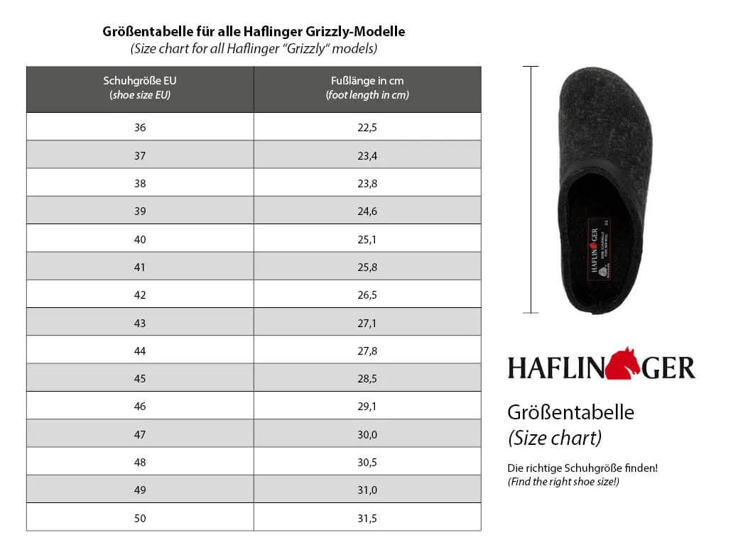 HAFLINGER Women Felt Slippers 'Grizzly Home', truffle