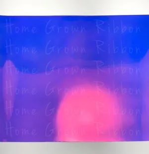 Jelly Holographic Waterproof Sheets - Purple - Green - Blue - Light Blue