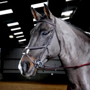 John Whitaker Ready to Ride Pre-Oiled Mexican Bridle