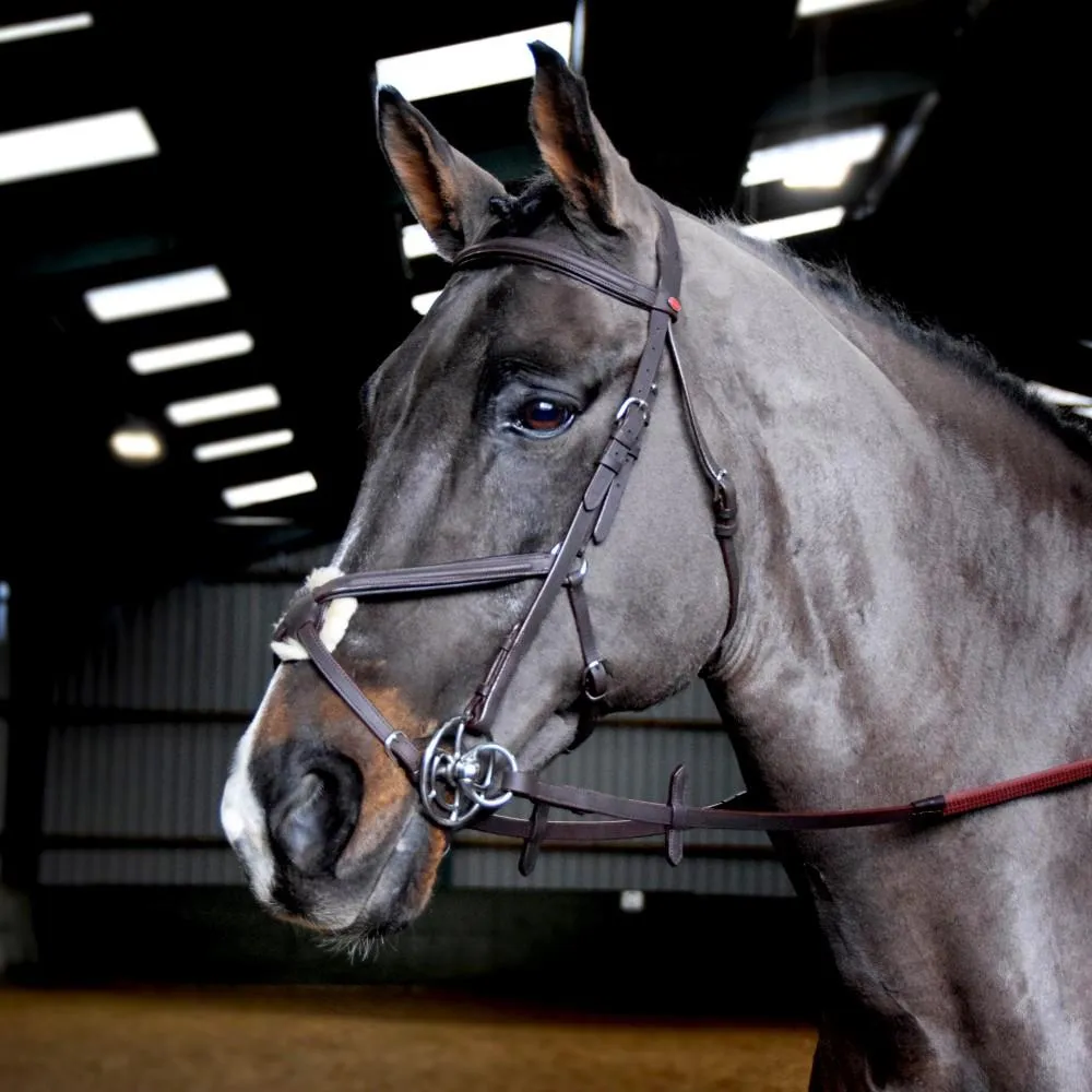 John Whitaker Ready to Ride Pre-Oiled Mexican Bridle