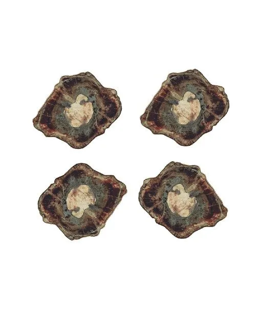 KIM SEYBERT | Fossil Drink Coasters | Set of 4