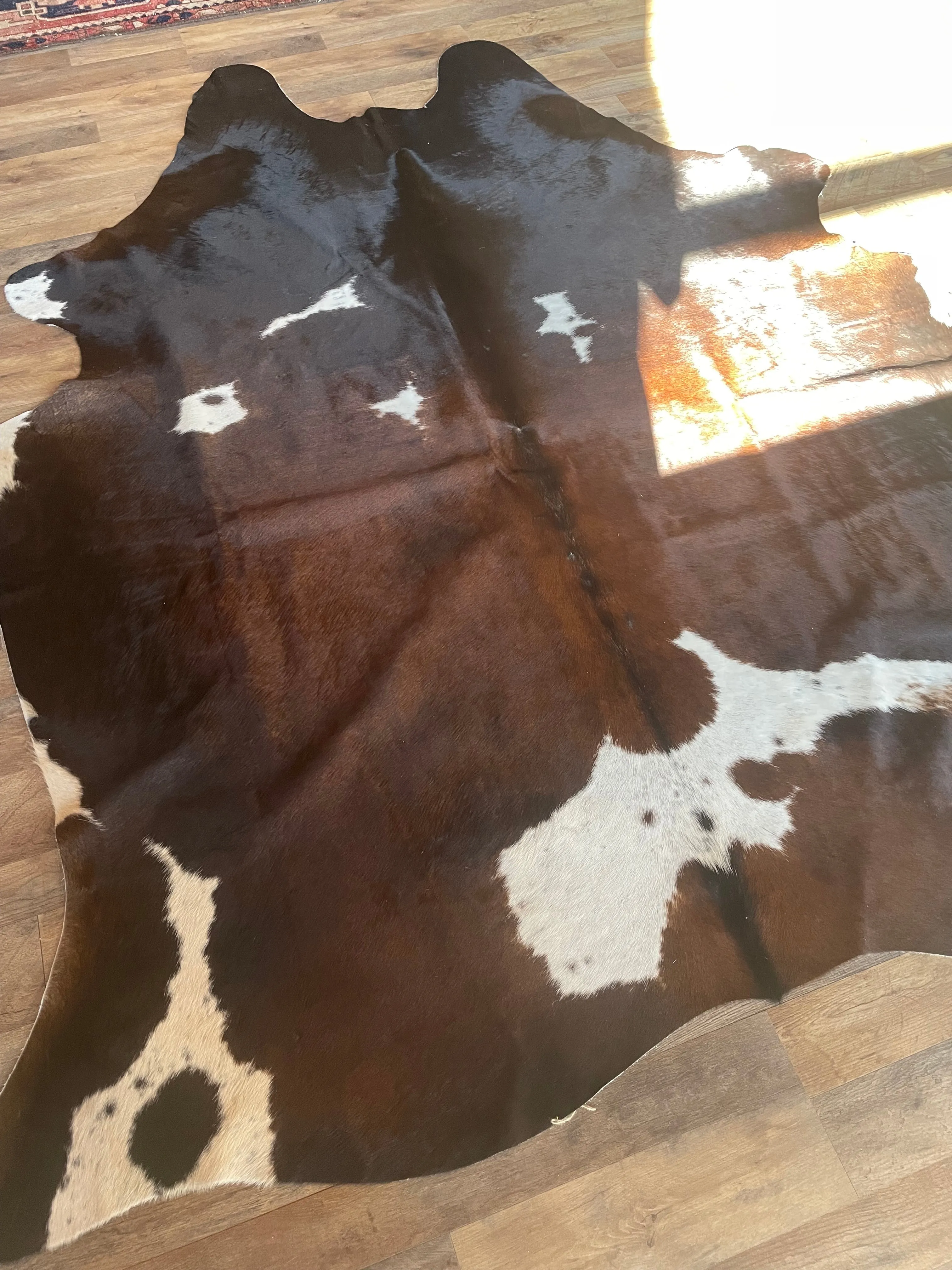 Mahogany brown, cowhide 5’5x7