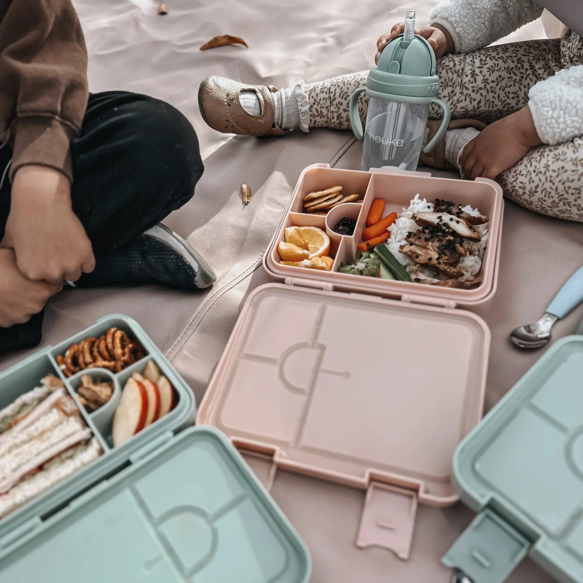 noüka Grand Bento Lunch Box - Wave (Min. of 2 PK, Multiples of 2 PK)