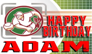 Personalized Baseball Birthday Banner