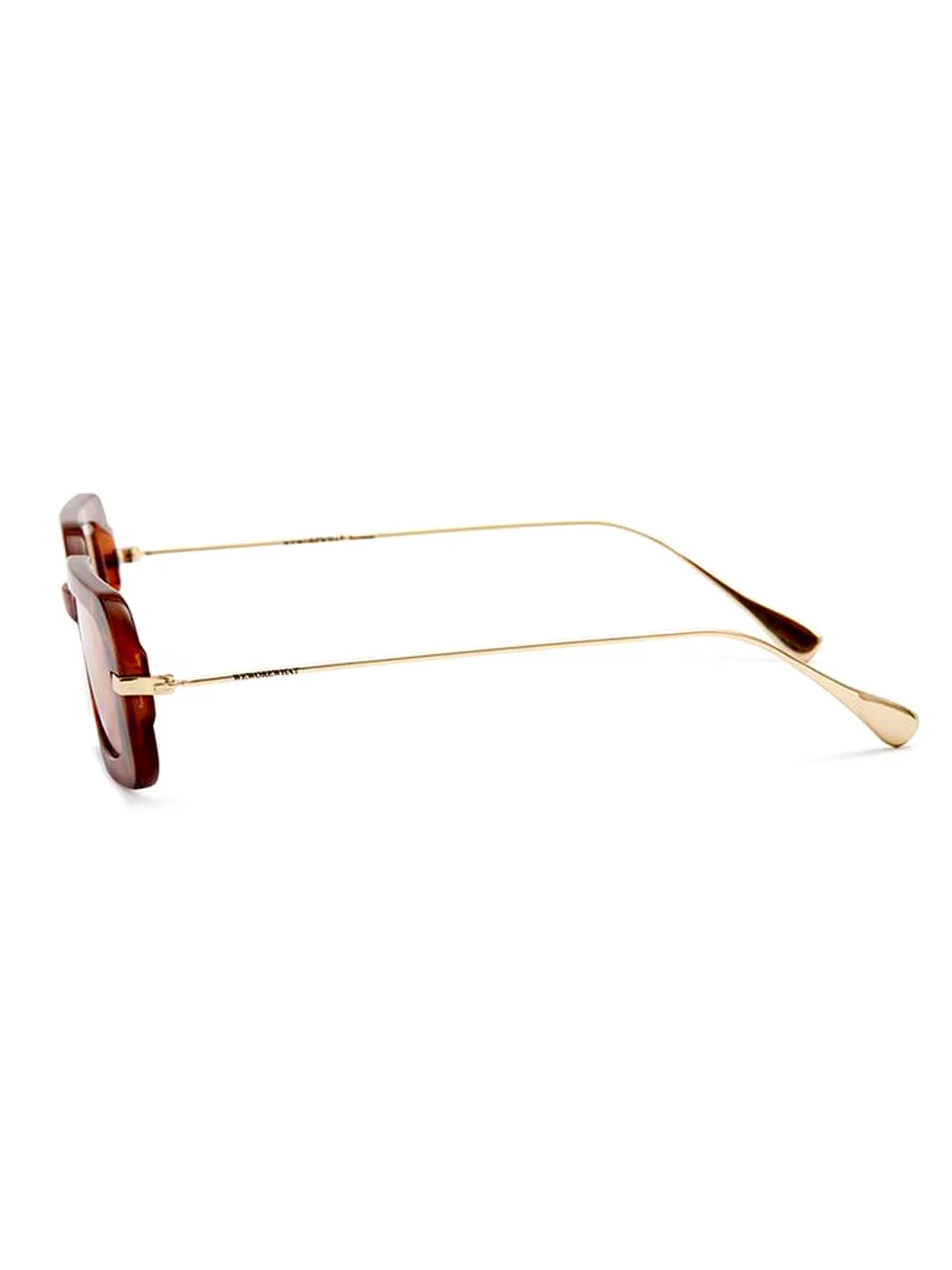The Backyard Sunglasses