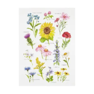 Wildflower Guide Kitchen Towel